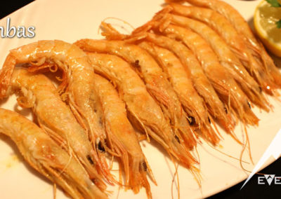 EverestBi_Gambas