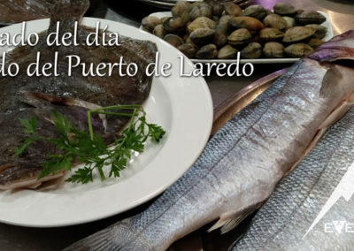 EverestBi_Pescado-del-dia-del-puerto-de-Laredo