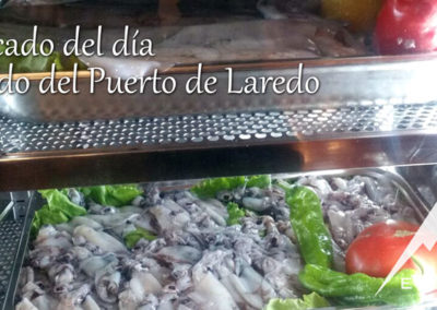 EverestBi_Pescado-del-dia-puerto-de-Laredo_2
