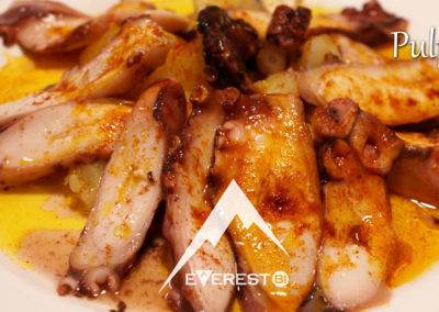 EverestBi_Pulpo